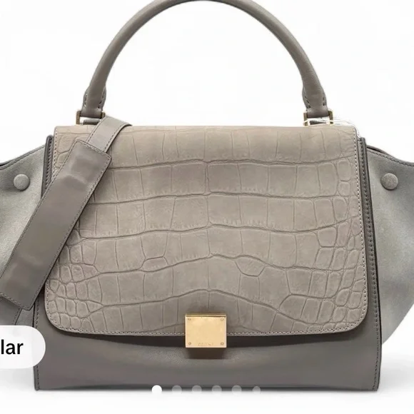 Gray Designer Handbag - Picture 1 of 7